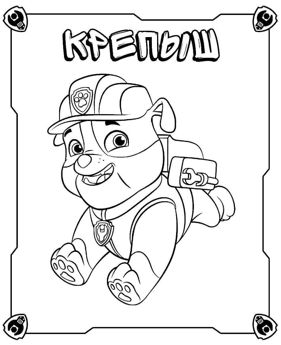 Coloring Burly to the rescue. Category paw patrol. Tags:  BURLY, paw patrol.