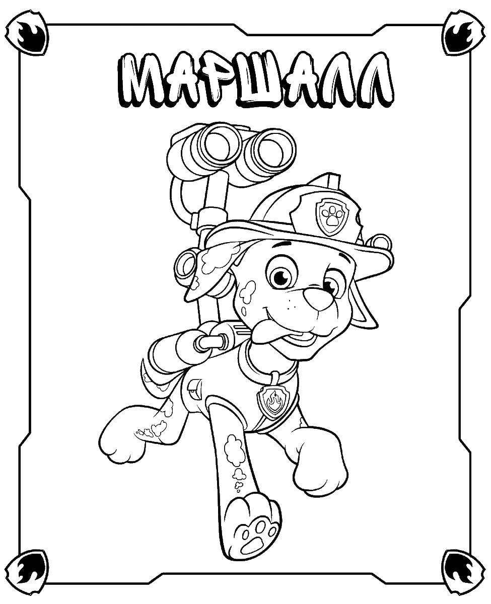 Название: Раскраска Маршалл щенок долматинца в пожарной форме и каске. Категория: щенячий патруль. Теги: МАРШАЛЛ, щенячий патруль.