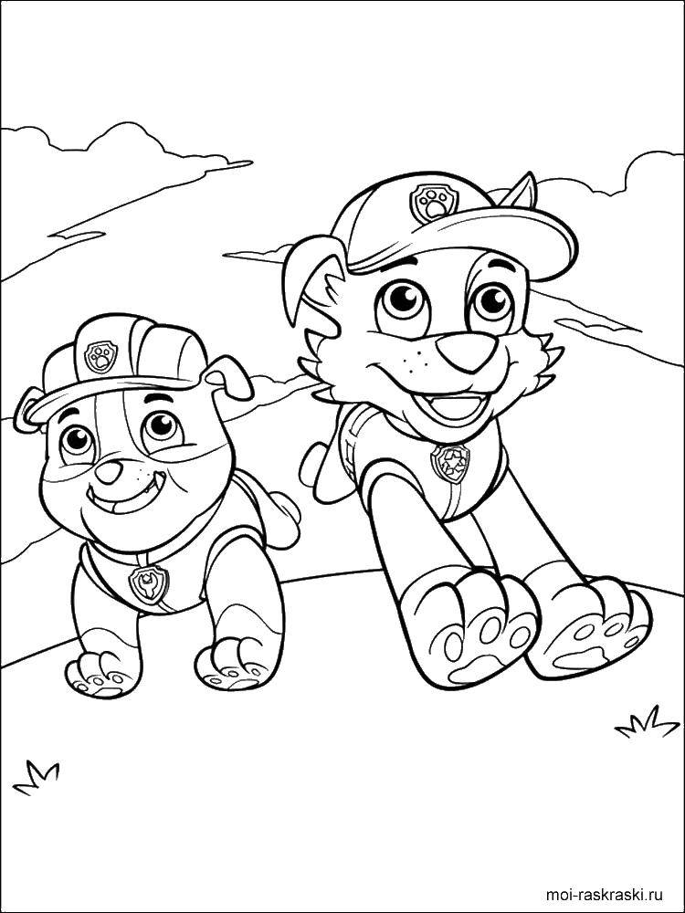 Coloring Rocky and burly. Category Characters cartoon. Tags:  rocky, burly, paw patrol.