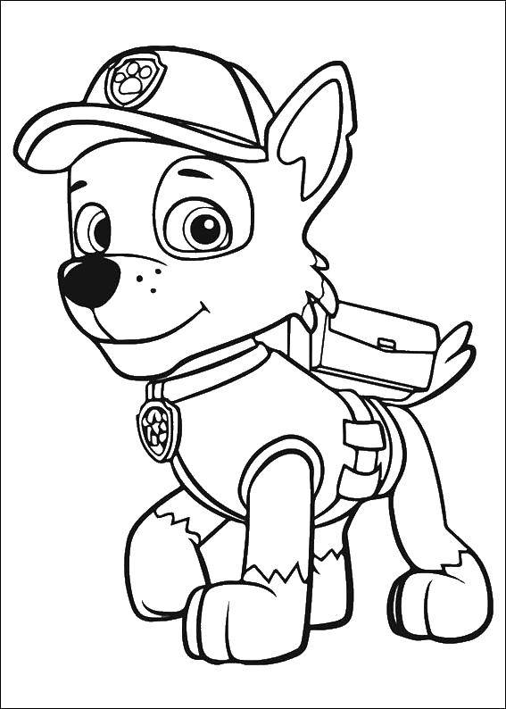 Название: Раскраска Рокки спешит на помощь. Категория: щенячий патруль. Теги: Рокки, щенячий патруль.