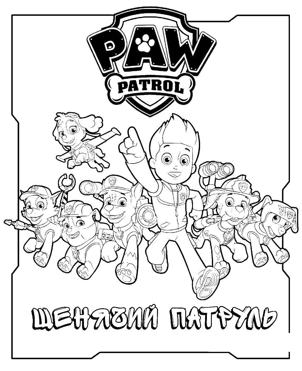 Coloring Paw patrol to the rescue. Category paw patrol. Tags:  Paw patrol Zuma, rocky.