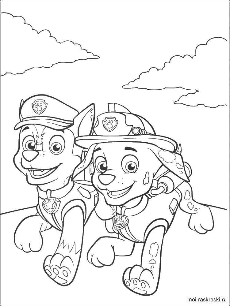 Coloring Paw patrol. Category Characters cartoon. Tags:  CEIS, zoom.