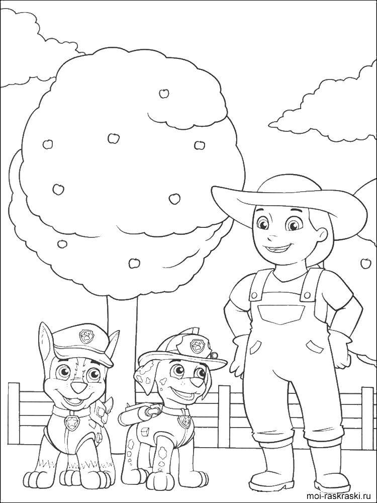 Coloring Paw patrol. Category Characters cartoon. Tags:  Zeke raider, CEIS, zoom.