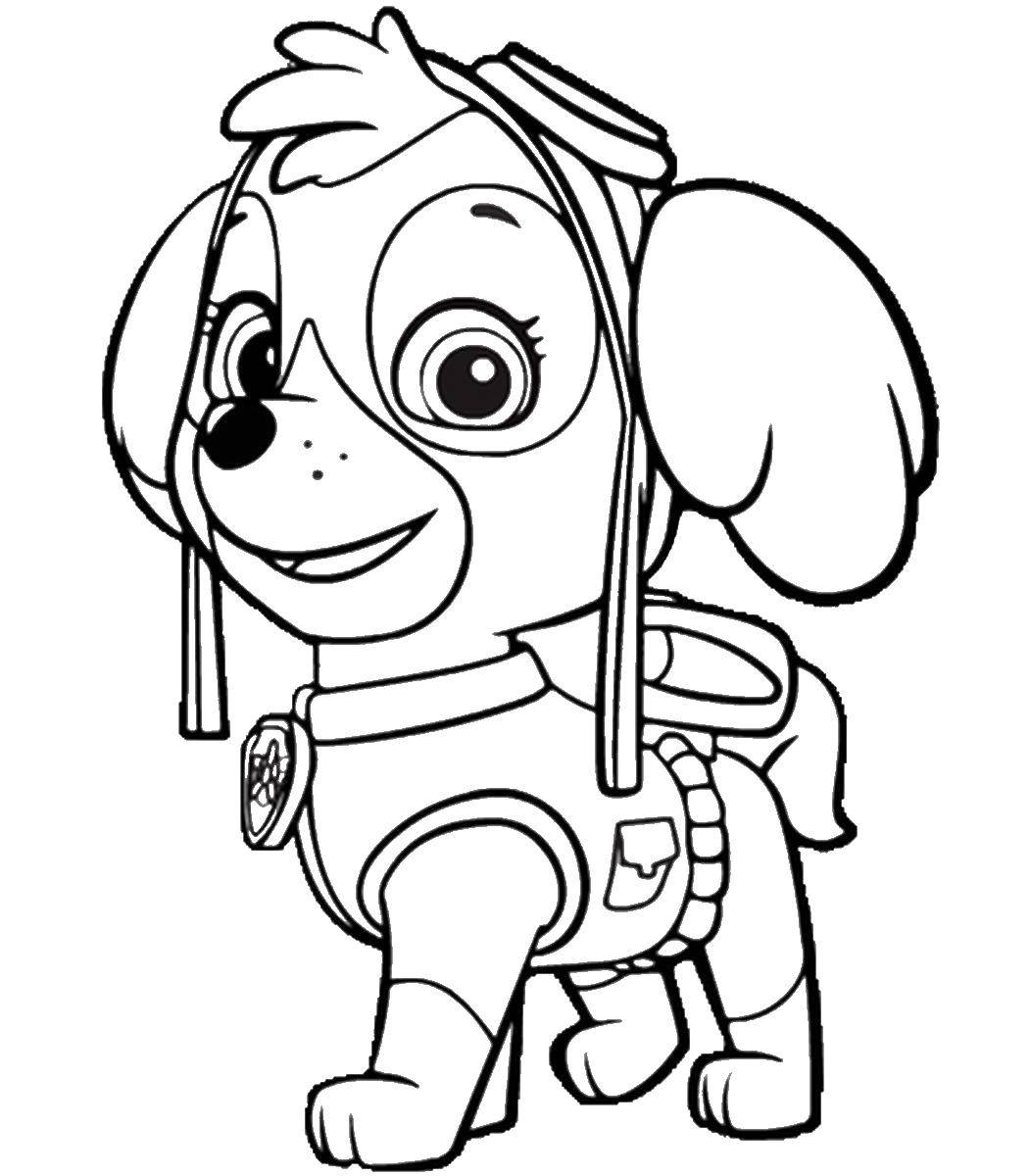 Coloring Skye the Cockapoo puppy, dressed in a pink suit and glasses pilot. Category paw patrol. Tags:  Skye, paw patrol.