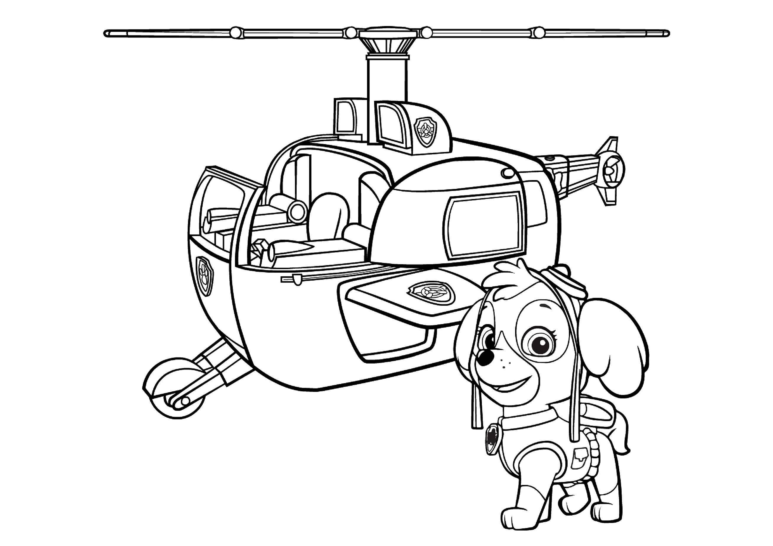 Название: Раскраска Скай щенок кокапу передвигается на розовом вертолете. Категория: щенячий патруль. Теги: Скай, щенячий патруль.