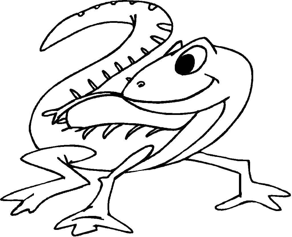 Coloring Lizard. Category coloring. Tags:  the lizard.
