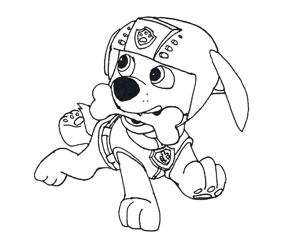 Coloring Zoom with bone. Category paw patrol. Tags:  Paw patrol.