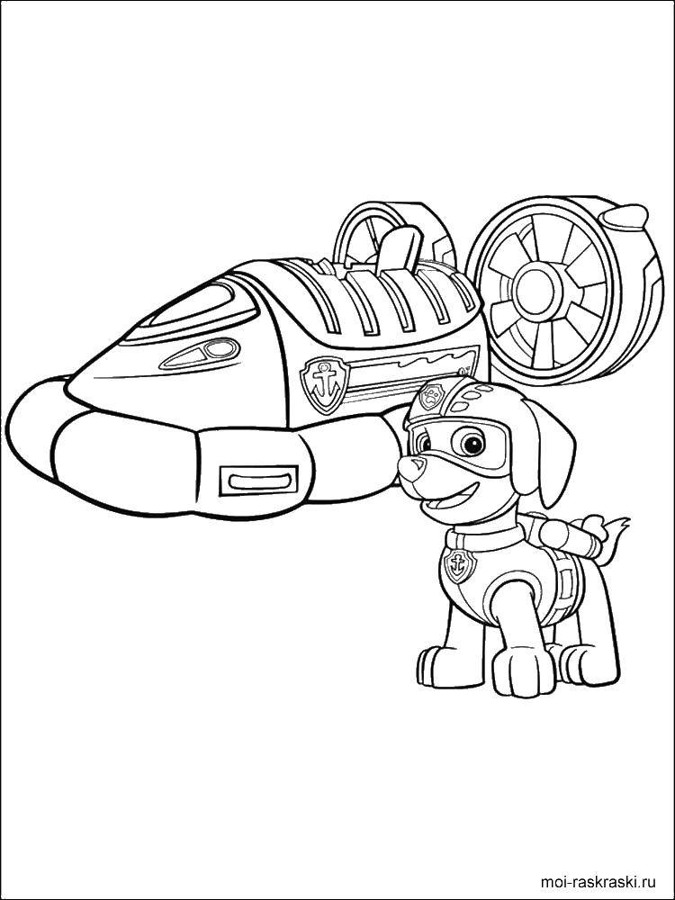 Название: Раскраска Зума щенячий патруль. Категория: Персонаж из мультфильма. Теги: зума.