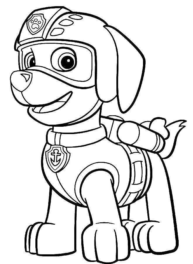 Coloring Zoom. Category paw patrol. Tags:  Paw patrol.