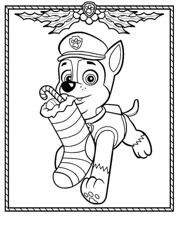 Coloring Chase. Category paw patrol. Tags:  Paw patrol.