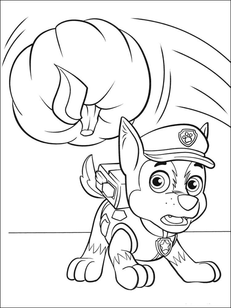 Coloring Racer chase. Category paw patrol. Tags:  Paw patrol.