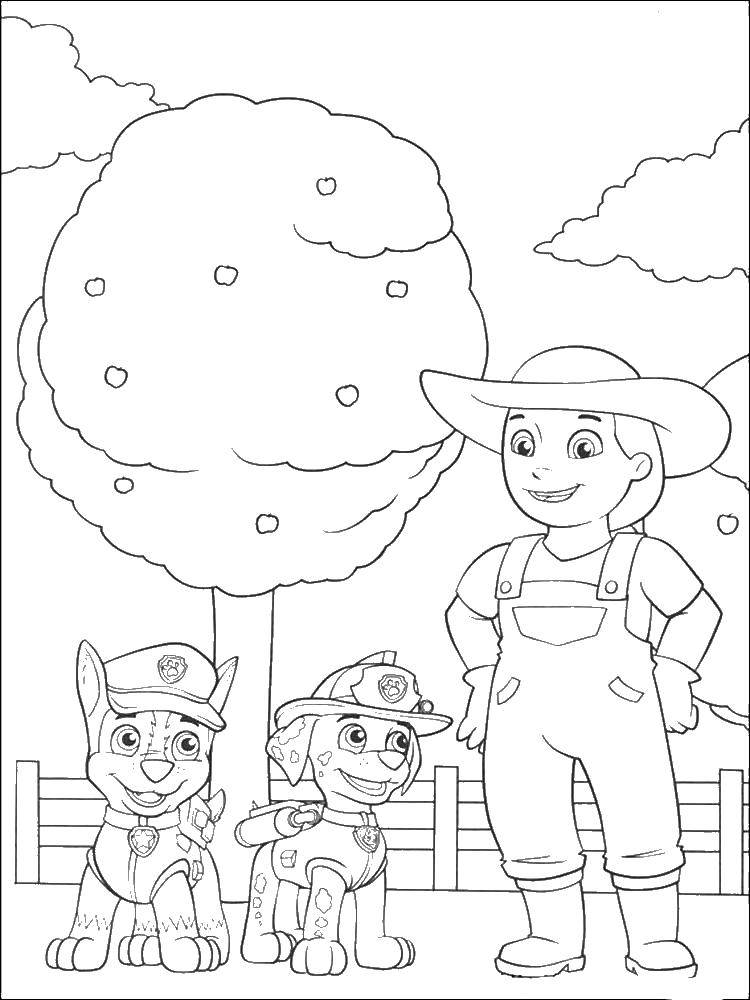 Coloring Honsik and Marshall to the rescue. Category paw patrol. Tags:  paw patrol, Marshall.