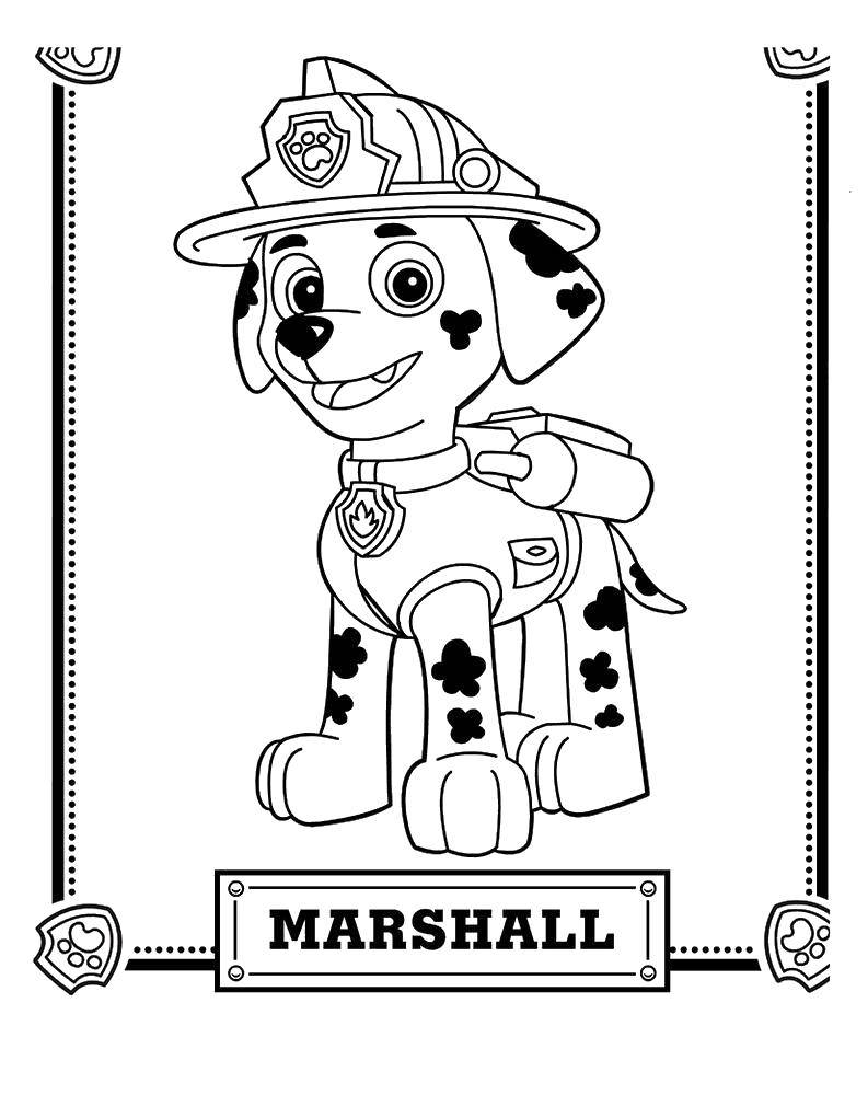 Название: Раскраска Маршал далматинец. Категория: щенячий патруль. Теги: Щенячий патруль.