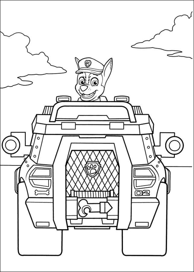 Coloring Shepherd chase. Category paw patrol. Tags:  Paw patrol.
