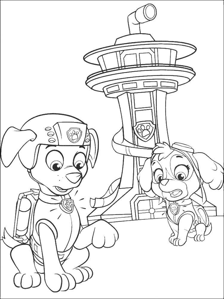 Coloring Paw patrol. Category paw patrol. Tags:  paw patrol.