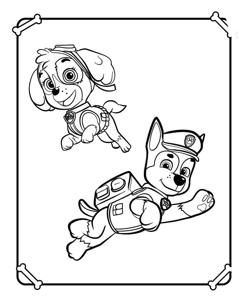 Coloring Skye and chase. Category paw patrol. Tags:  Paw patrol.