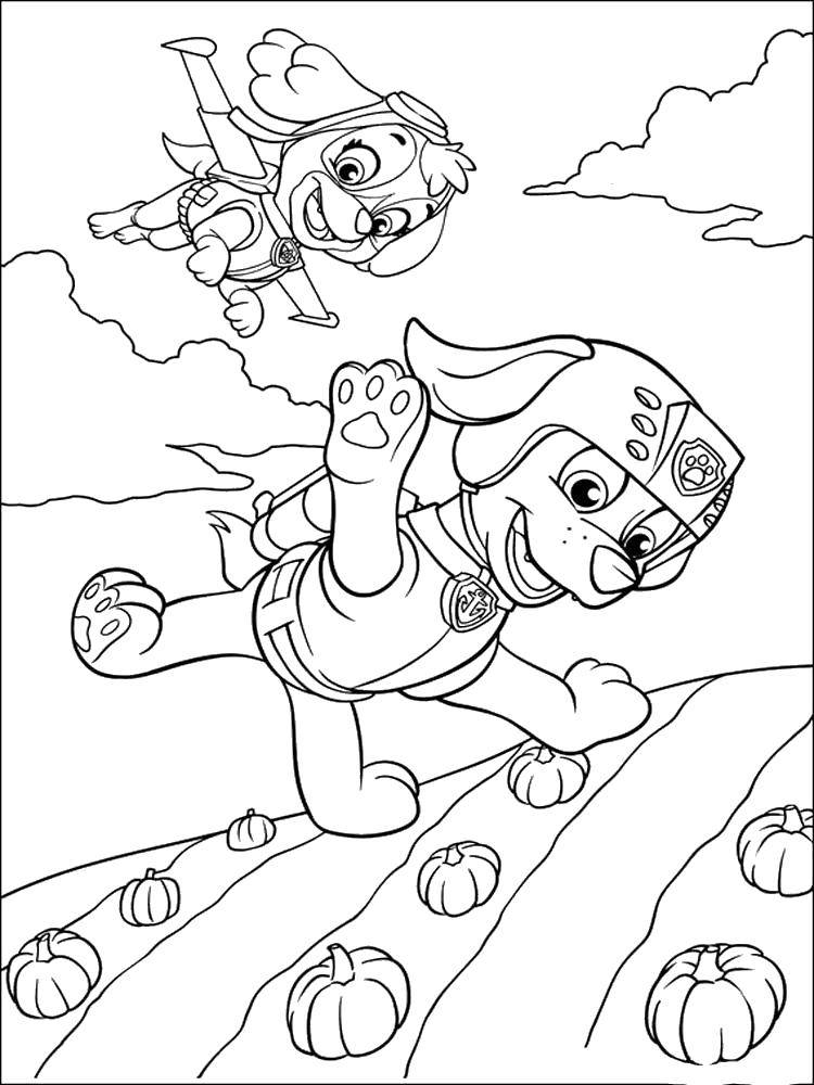 Coloring Skye and Zuma. Category paw patrol. Tags:  Paw patrol.