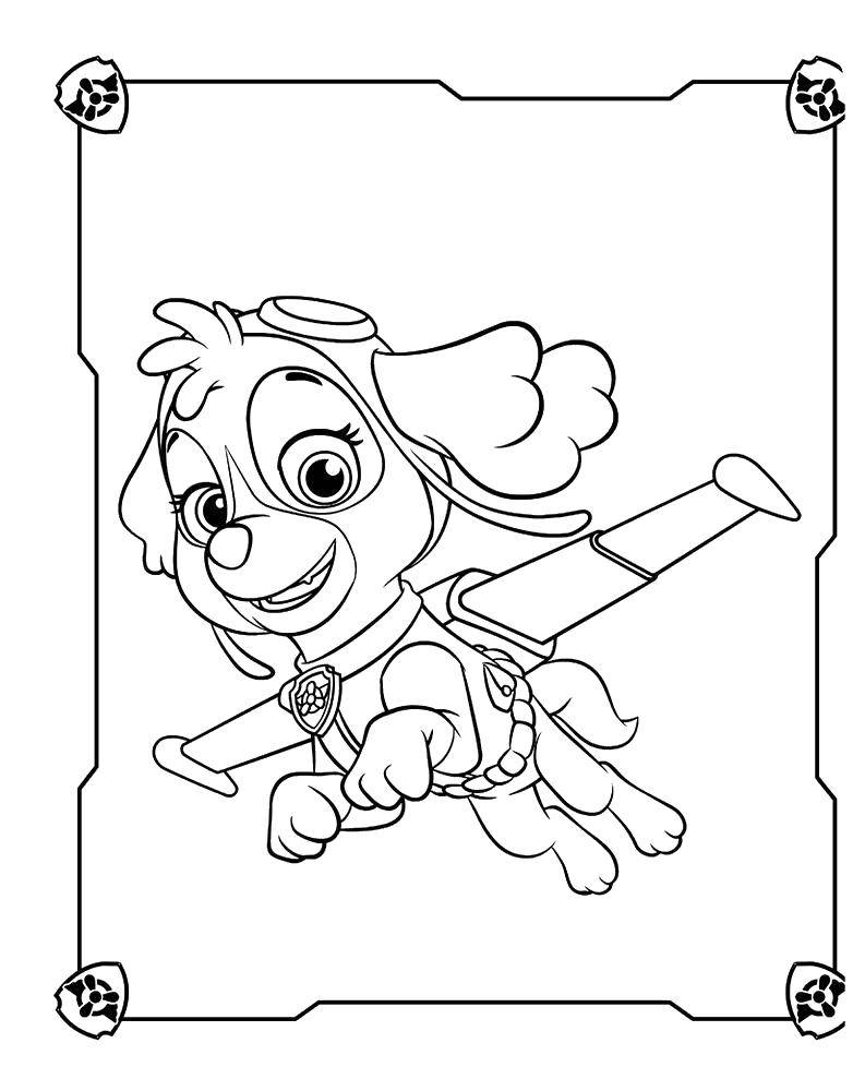 Coloring Skye. Category paw patrol. Tags:  Paw patrol.