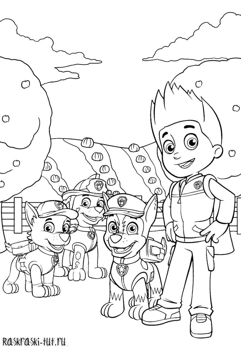Coloring Zeke raider and paw patrol. Category The characters from fairy tales. Tags:  paw patrol.