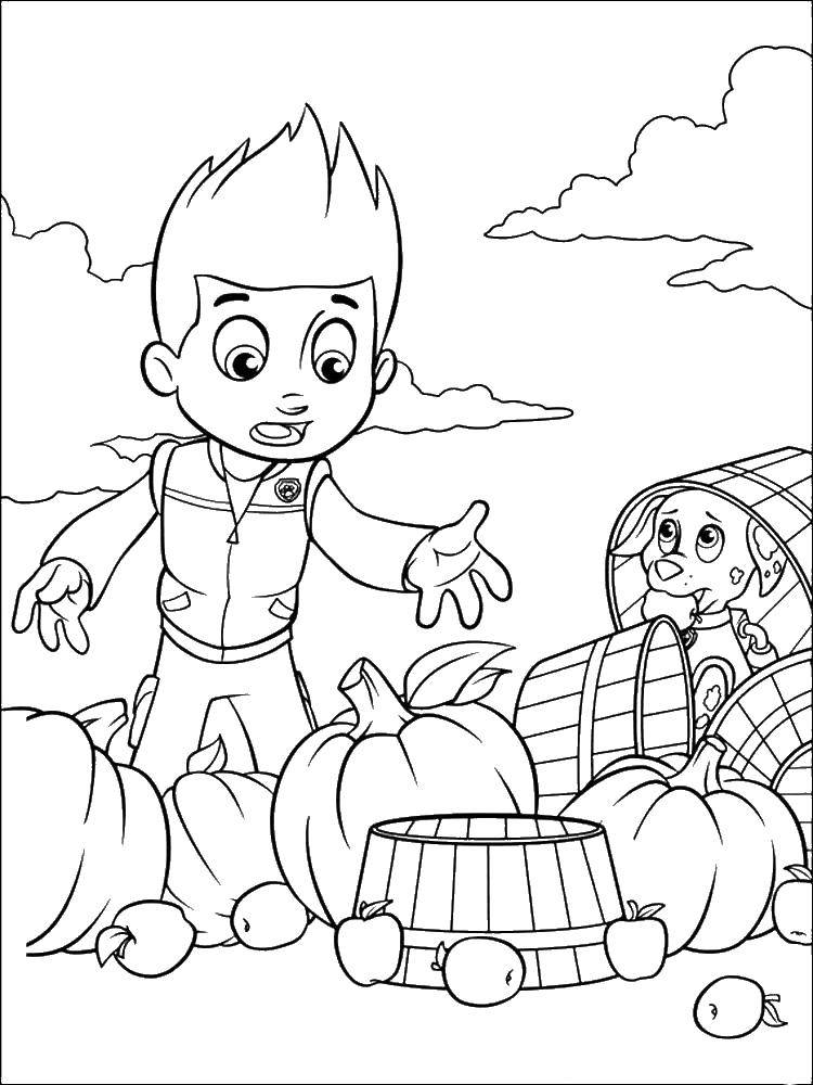 Coloring Zeke Ryder and Marshall. Category paw patrol. Tags:  Paw patrol.