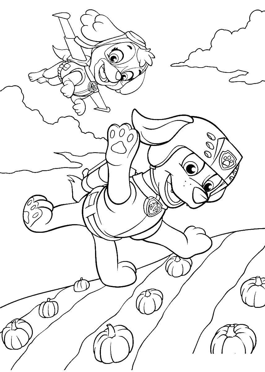 succes siv I de fleste tilfælde Online coloring pages Coloring page Zuma and Skye to the rescue paw patrol,  Download print coloring page.