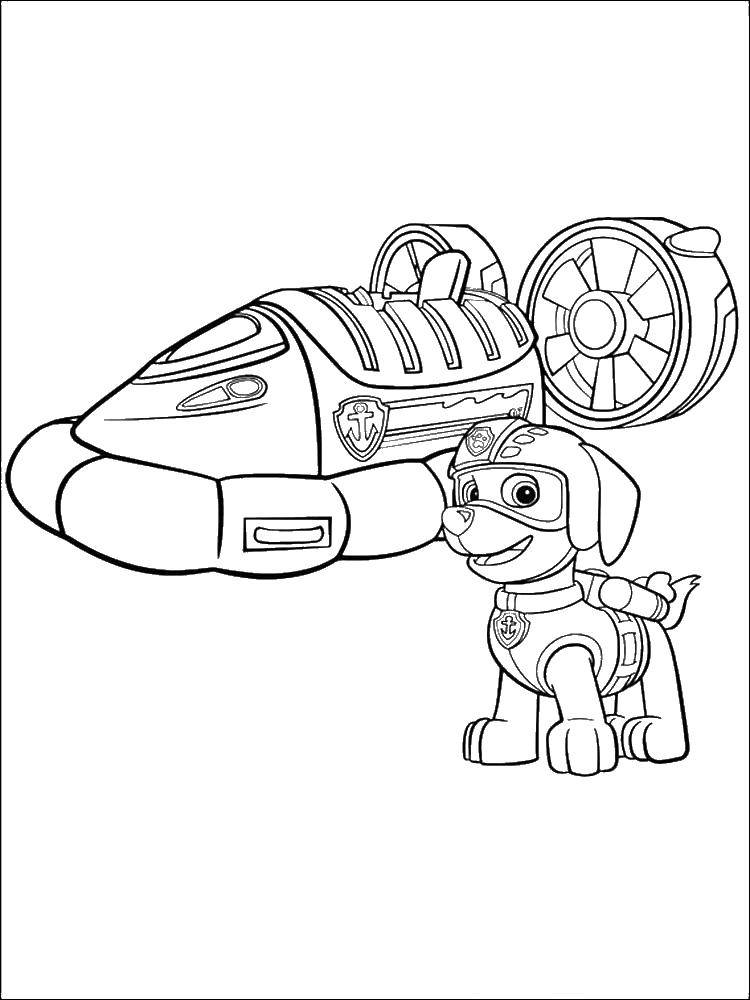 Coloring Zuma Labrador puppy. Category paw patrol. Tags:  Zuma, paw patrol.