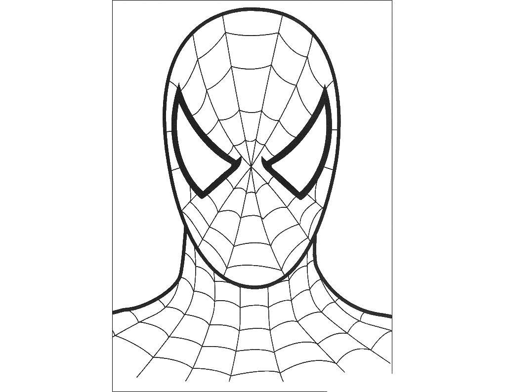 Coloring Spider-man. Category spider man. Tags:  Spider man.
