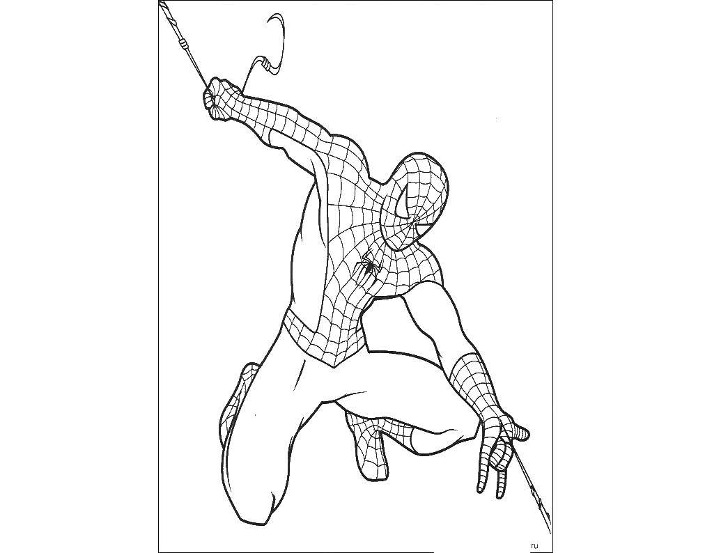 Название: Раскраска Человек паук. Категория: человек паук. Теги: человек паук, супергерои.
