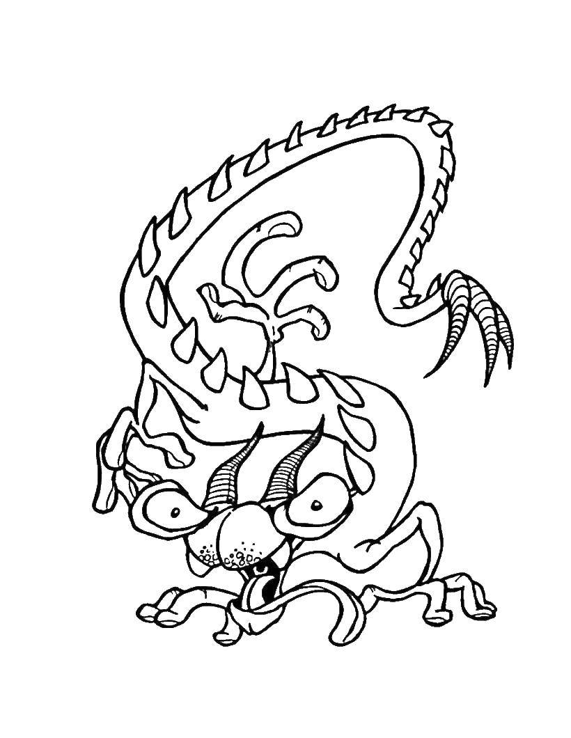 Coloring Dragon. Category Coloring pages monsters. Tags:  the dragon.