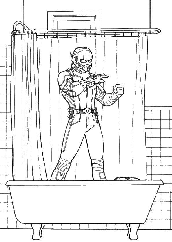 Название: Раскраска Человек муравей в ванной. Категория: супергерои. Теги: Человек муравей.