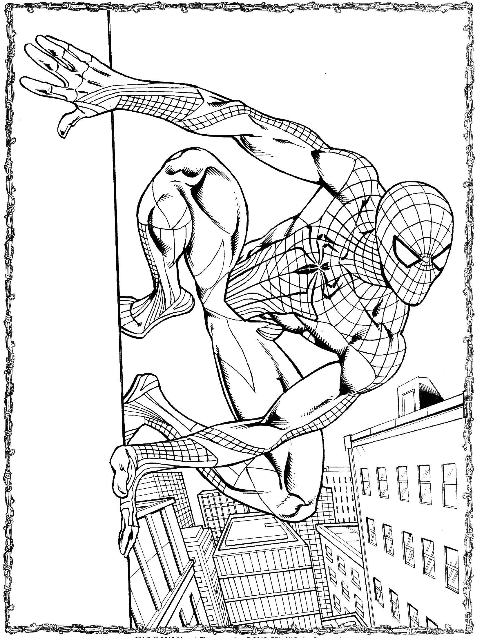Название: Раскраска Человек паук на стене. Категория: человек паук. Теги: человек паук, супергерои.