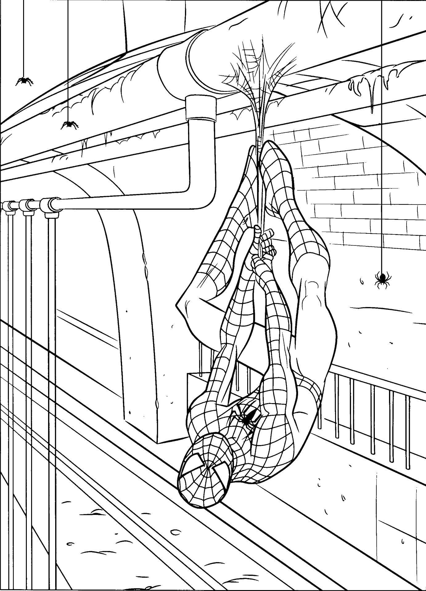 Название: Раскраска Человек паук спасает людей. Категория: человек паук. Теги: человек паук, супергерои.