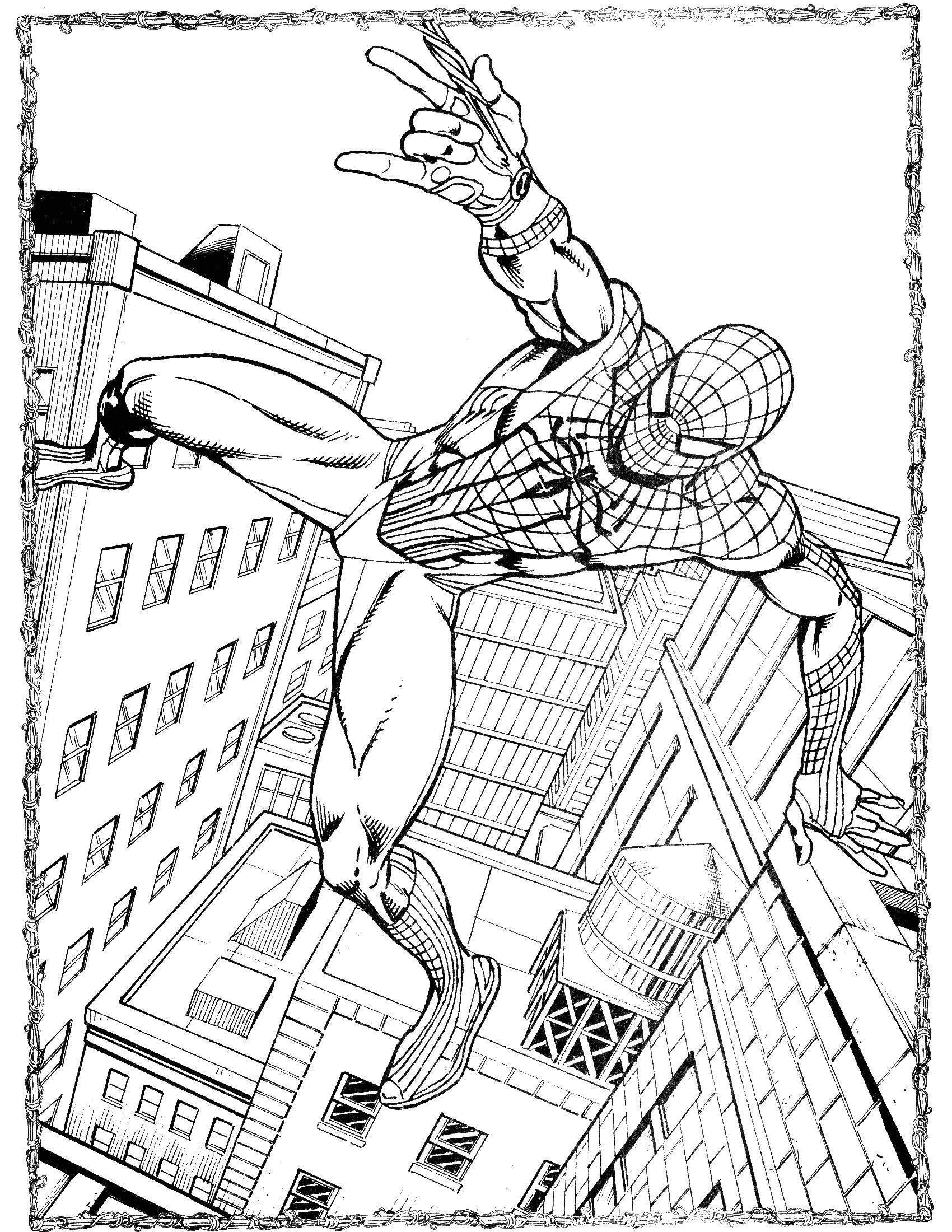 Название: Раскраска Человек паук спасает людей. Категория: человек паук. Теги: человек паук, супергерои.
