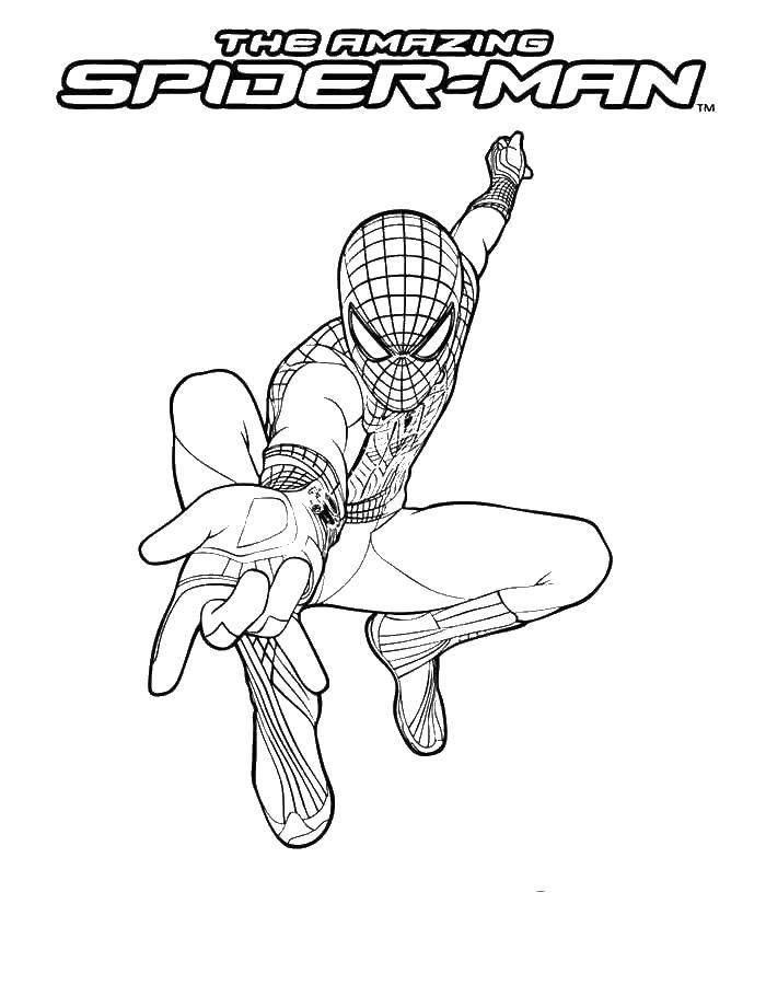 Название: Раскраска Новый человек паук. Категория: человек паук. Теги: человек паук, супергерои.