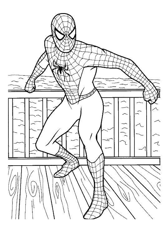 Название: Раскраска Спайдер мэн, человек паук. Категория: Комиксы. Теги: Комиксы, Спайдермэн, Человек Паук.