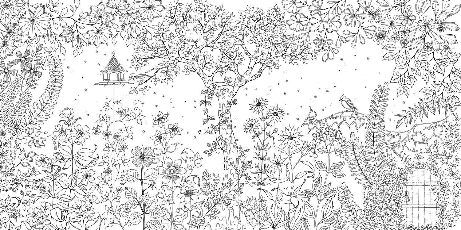 Название: Раскраска Волшебный сад. Категория: Антистресс. Теги: Антистресс, цветы.