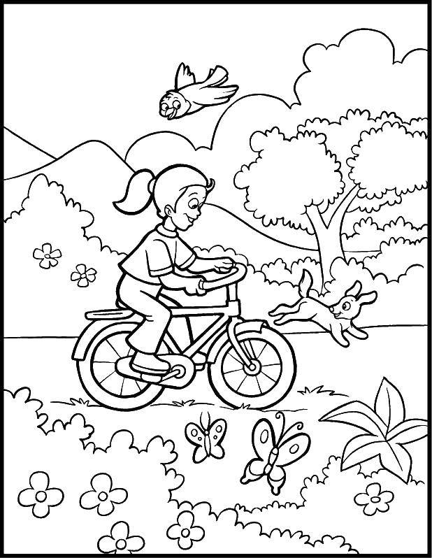 Название: Раскраска Девочка на велосипеде. Категория: раскраски для девочек. Теги: девочка, велосипед, животные.