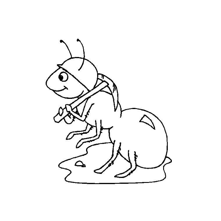 Coloring Ant. Category insects. Tags:  Ant.