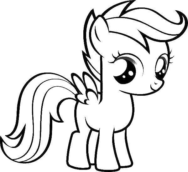 Coloring Baby pony. Category my little pony. Tags:  Pony, My little pony .