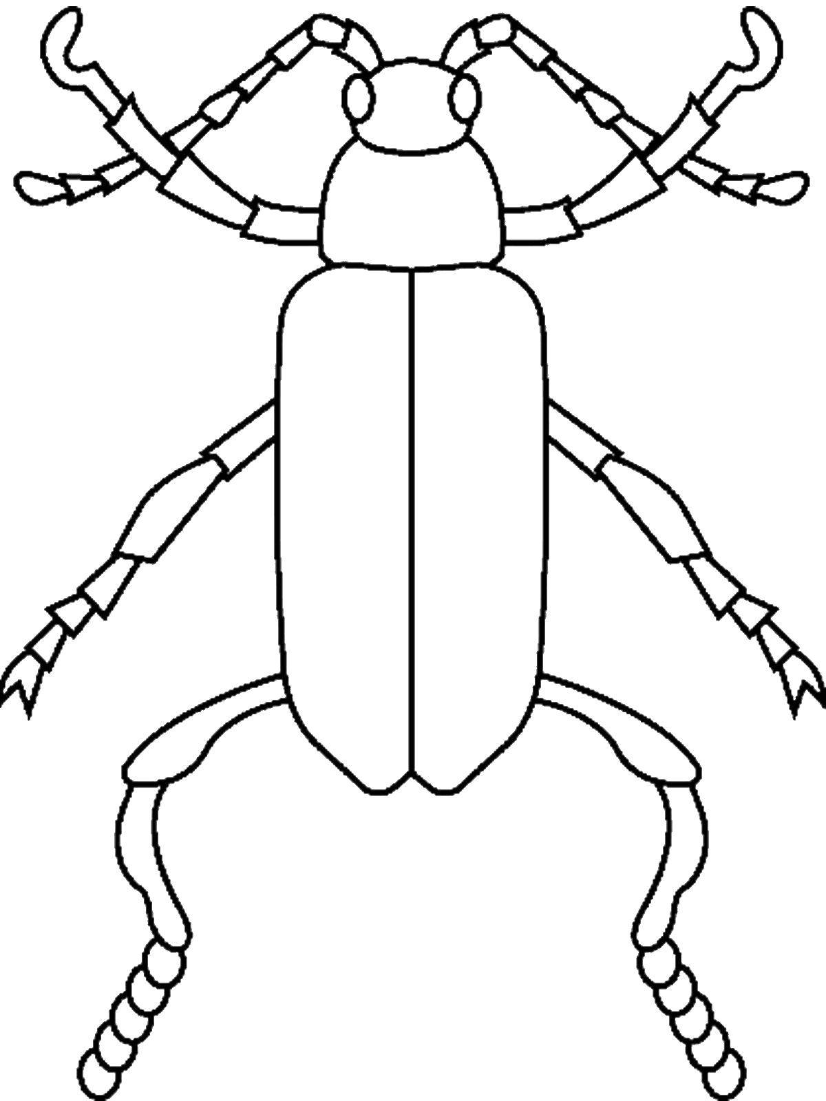 Coloring Beetle. Category insects. Tags:  beetle.