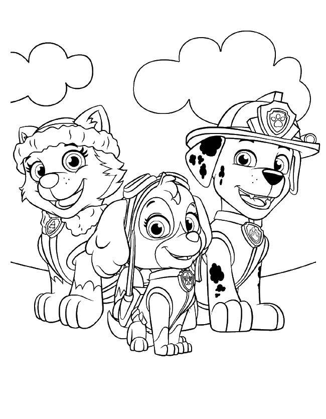 Coloring Marshall and paw patrol. Category Characters cartoon. Tags:  paw patrol.