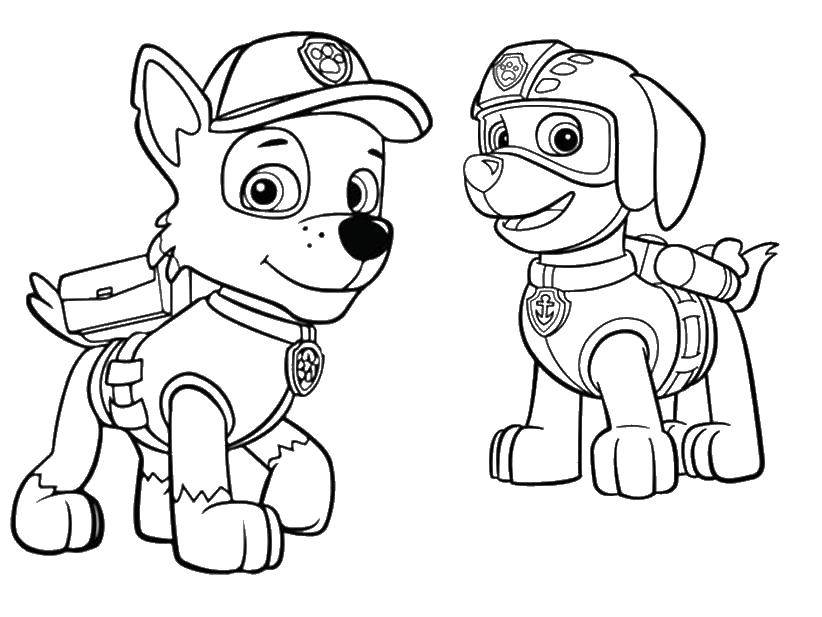 Название: Раскраска Рокки и зума. Категория: Персонажи из мультфильма. Теги: щенячий патруль.