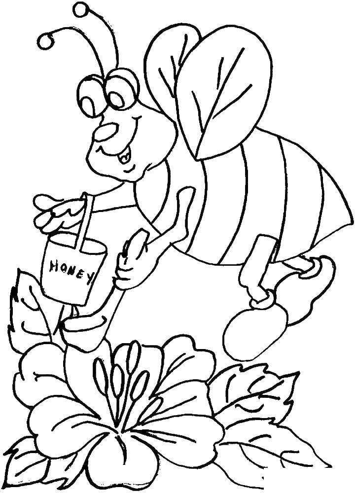 Название: Раскраска Пчела собирает нектар. Категория: насекомые. Теги: пчела.