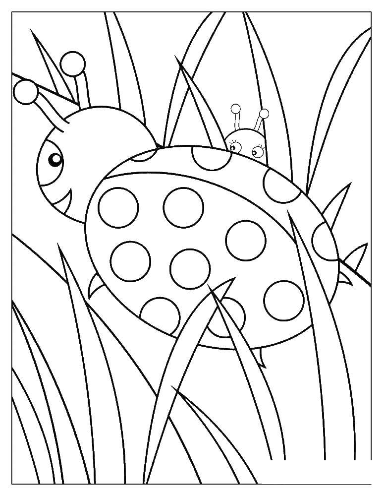 Coloring Ladybug. Category insects. Tags:  Ladybug.