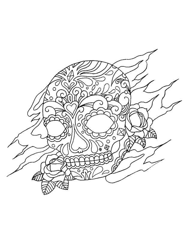 Coloring Skull. Category coloring for adults. Tags:  skull.