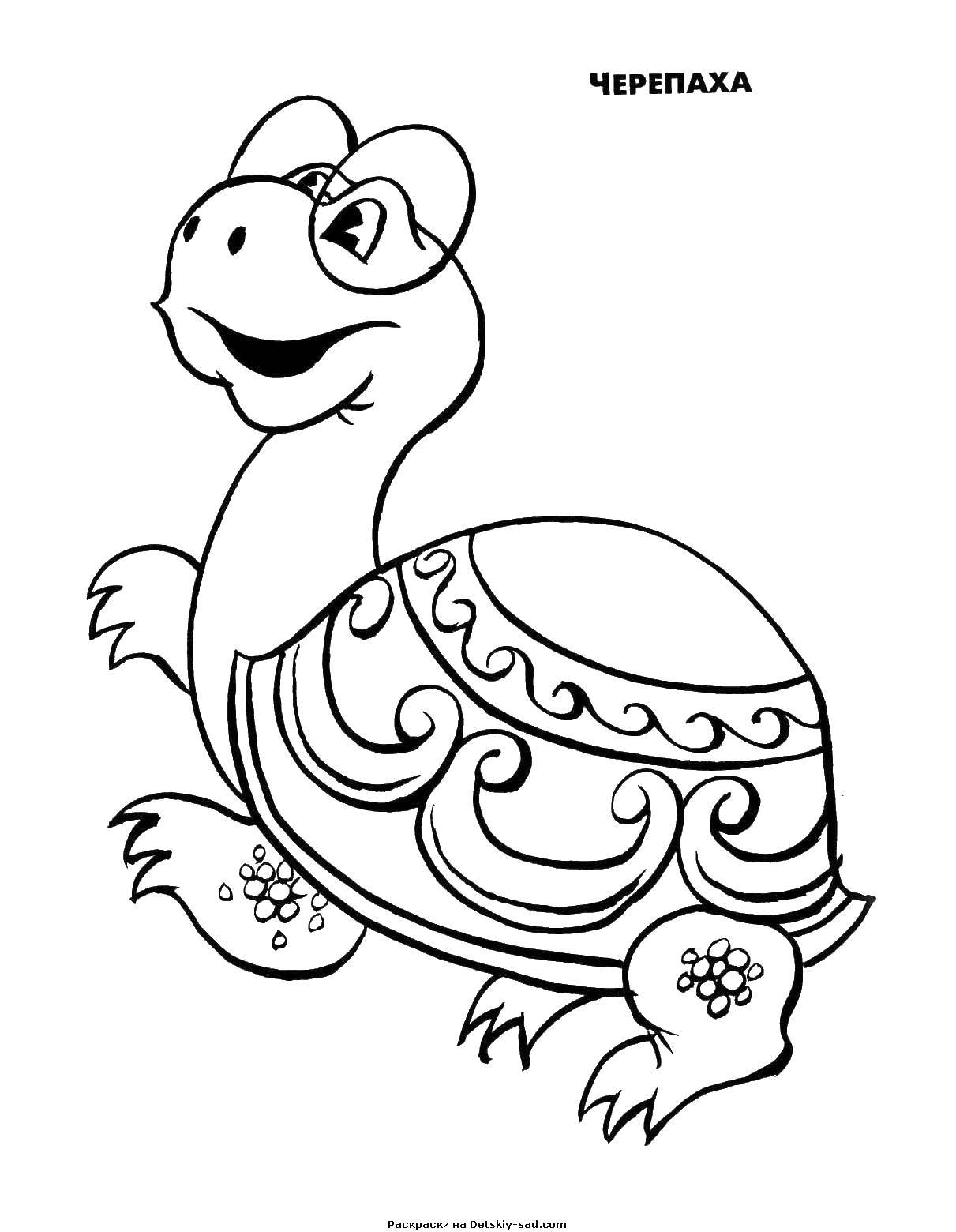Coloring Turtle. Category cartoons. Tags:  turtle.