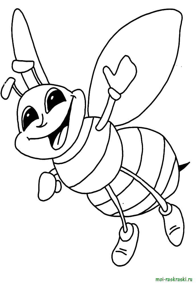 Coloring Bee. Category insects. Tags:  bee.