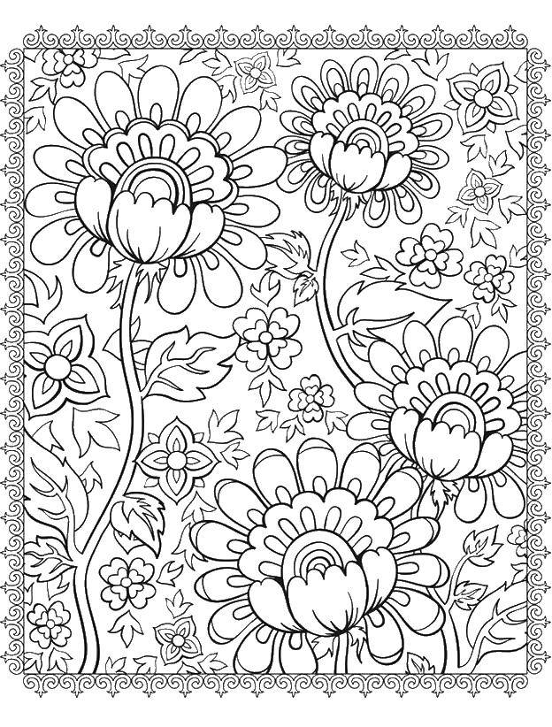 Coloring The flowers in the pattern. Category coloring for adults. Tags:  flowers.