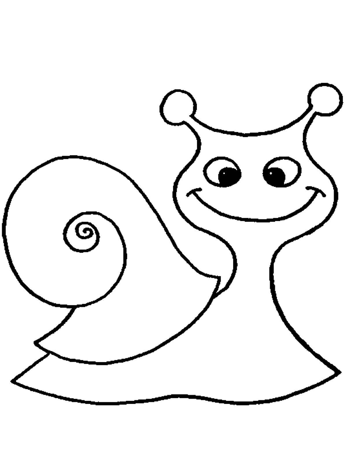 Coloring Funny snail. Category Coloring pages for kids. Tags:  snail.