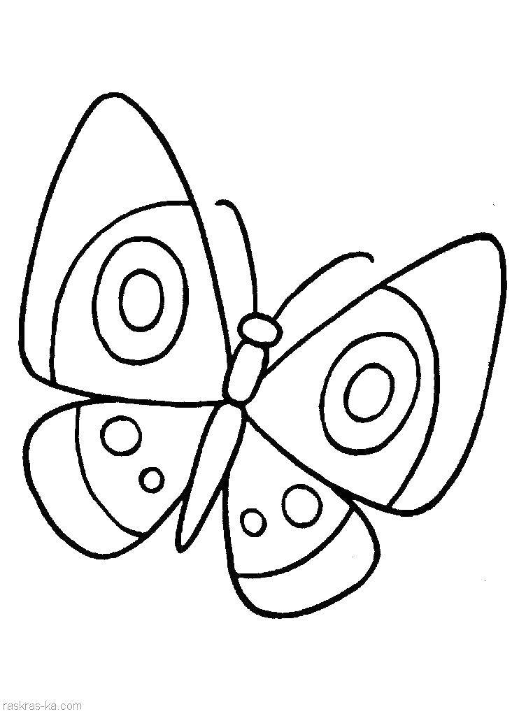 Название: Раскраска Бабочка. Категория: насекомые. Теги: бабочка.